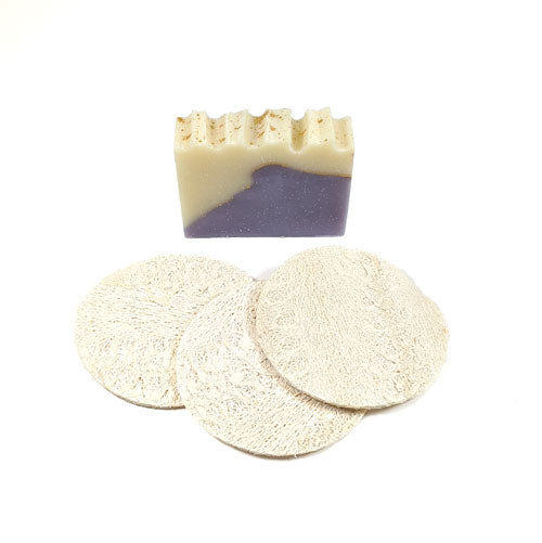 Loofah discs